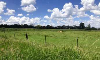 Imagem 3: Fazenda à venda por R$ 3.500.000 - Área Rural de São Carlos - São Carlos/SP