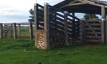 Imagem: Fazenda à venda, 43560000 m² por R$ 40.000.000,00