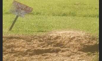 Imagem: Terreno à venda, 1000 m² por R$ 240.000,00