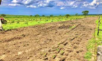Imagem: Fazenda à venda por R$ 16.000.000 - Centro