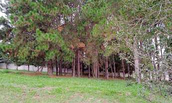 Imagem: Terreno à venda, 1000 m² por R$ 300.000,00