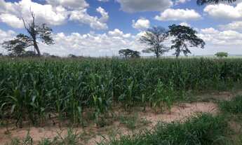 Imagem 2: Fazenda à venda por R$ 3.500.000 - Área Rural de São Carlos - São Carlos/SP