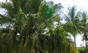 Imagem 6: Chácara com 5 dormitórios, 20000 m² - venda por R$ 2.950.000 ou aluguel por R$ 19.500/mês