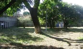 Imagem 6: Área, 5000 m² - venda por R$ 3.250.000,00 ou aluguel por R$ 7.639,00/mês - Iporanga - Soro