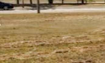 Imagem: Terreno à venda, 720 m² por R$ 425.000