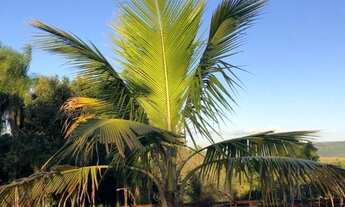 Imagem 7: Chácara com 2 dormitórios à venda, 24750 m² por R$ 800.000,00 - Sapetuba - Iperó/SP