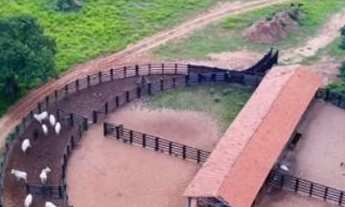 Imagem: Fazenda à venda, 47720000 m² por R$ 160.000.000,00