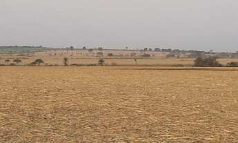 Imagem 2: Fazenda à venda, por R$ 160.000.000 - Jose Bonifacio - José Bonifácio/SP