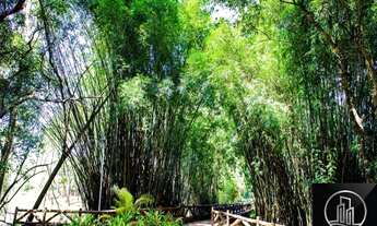 Imagem 7: OPORTUNIDADE terreno com 1000 m² á venda por apenas 500 mil reais, no condomínio Saint Pat