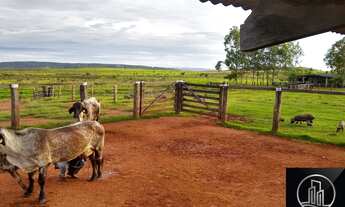 Imagem 3: FAZENDA RURAL em Vila Rica - MT, Vila Rica