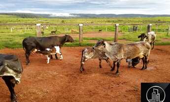 Imagem 4: FAZENDA RURAL em Vila Rica - MT, Vila Rica
