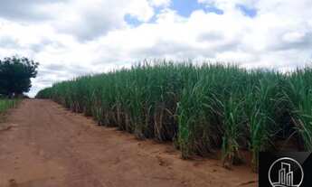 Imagem 2: Fazenda à venda, 1.040 alq por R$ 364.000.000 - Vila Iguacu - Rancharia/SP