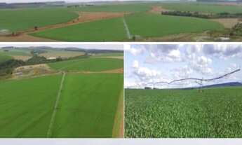 Imagem 3: Fazenda na região de Itapeva/SP