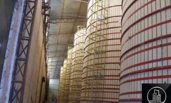 Imagem 5: Fazenda na região de Itapeva/SP