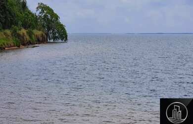 Imagem 2: Fazenda no município de ITAJOBI - SP