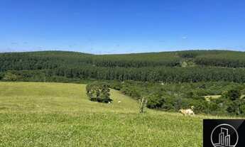 Imagem 2: Fazenda em Botucatu - SP
