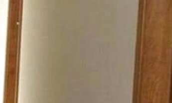 Imagem 4: Fazenda com 250 alqueires e pista de pouso !