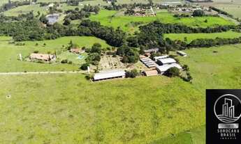 Imagem 5: Fazenda com 250 alqueires e pista de pouso !