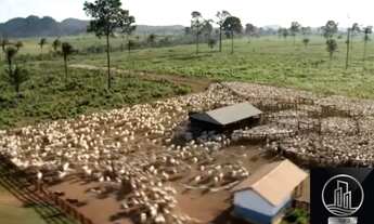 Imagem 2: FAZENDA SANTA BÁRBARA - PA