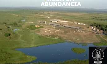 Imagem 5: FAZENDA SANTA BÁRBARA - PA