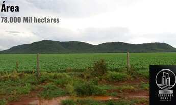 Imagem: Fazenda Bodoquena - Mato Grosso do Sul