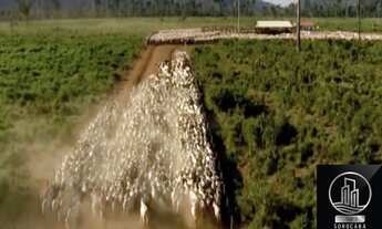 Imagem 3: FAZENDA SANTA BÁRBARA - PA