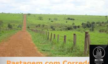 Imagem 4: FAZENDA SANTA BÁRBARA - PA