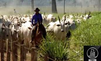 Imagem 7: FAZENDA SANTA BÁRBARA - PA