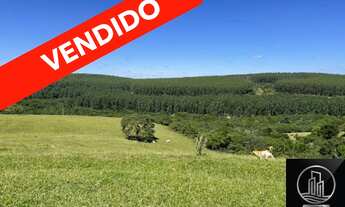 Imagem: Fazenda em Botucatu - SP