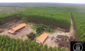 Imagem: FAZENDA EM MATO GROSSO DO SUL