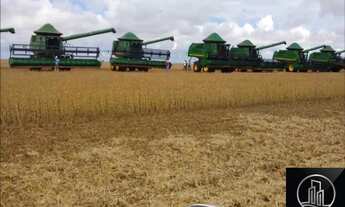 Imagem 2: FAZENDA PRÓXIMO A SANTIAGO DO NORTE - SORRISO / MT