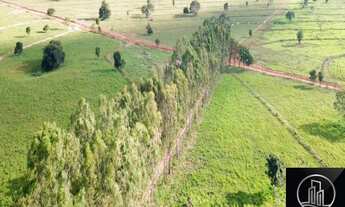 Imagem 6: FAZENDA RURAL em sorocaba - SP, Ribas do rio Pardo