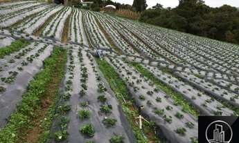 Imagem: SITIO RURAL em Piedade - SP, Santos e Paiol