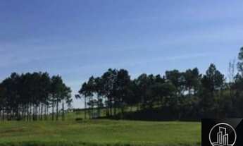 Imagem: Área, 10900 m² - venda por R$ 3.900.000