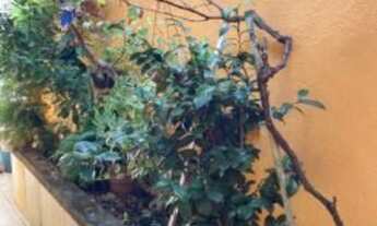 Imagem 7: Casa com 2 dormitórios à venda, 116 m² por R$ 375.000 - Jardim Refúgio - Sorocaba/SP