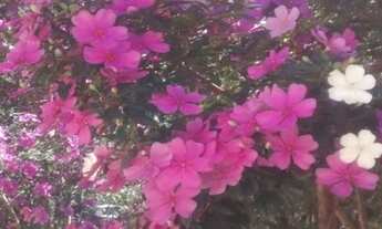 Imagem 5: Terreno residencial, Vale do lago, R$240.000,00 mil