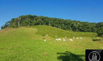 Imagem 6: Fazenda à venda, 202000 m² por R$ 860.000 - Serra - Iporanga/SP