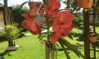 Imagem 2: Sobrado com 2 dormitórios à venda, 307 m² por R$ 750.000 - Monte Bianco - Araçoiaba da Ser