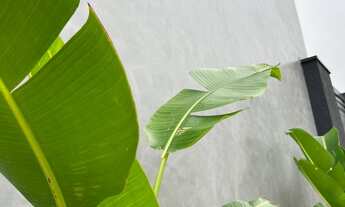 Imagem 4: Casa residencial no condomínio ALPHAVILLE NOVA ESPLANADA, R$2.050.000,00