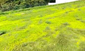 Imagem 2: Terreno à venda, 460 m² por R$ 490.000 - Alphaville - Votorantim/SP