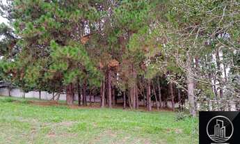 Imagem 4: Terreno à venda, 1000 m² por R$ 300.000