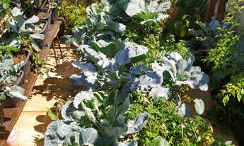 Imagem 2: Casa com 4 dormitórios à venda, 300 m² por R$ 1.600.000 - Condomínio Ibiti Royal Park - So