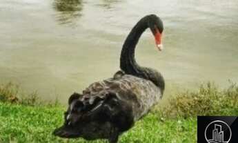 Imagem 7: Casa com 3 dormitórios à venda, 280 m² por R$ 1.250.000 - Jardim Ibiti do Paço - Sorocaba