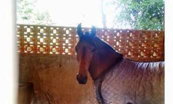 Imagem 7: 41 alqueires no Município de Atibaia/ SP