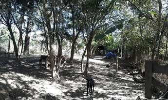 Imagem 4: Chácara com 3 dormitórios à venda, 1500 m² por R$ 180.000 - Araçoiaba da Serra - Araçoiaba