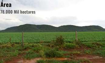 Imagem: Fazenda Bodoquena à venda - Corumbá/MS