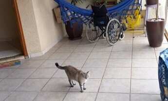 Imagem 2: Casa com 2 dormitórios à venda, 238 m² por R$ 550.000,00 - Wanel Ville II - Sorocaba/SP