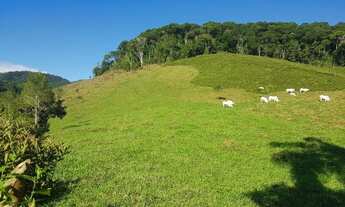 Imagem: Fazenda à venda, 202000 m² por R$ 980.000,00