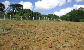 Imagem 3: Sítio com 4 dormitórios, 45000 m² - venda por R$ 3.000.000,00 ou aluguel por R$ 15.000,00