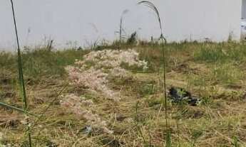 Imagem: Terreno à venda, 163 m² por R$ 185.000